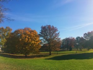 Autumn in Ohio - Shawnee Park in Xenia Ohio